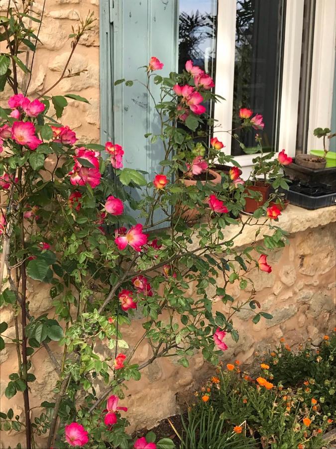 Oustau Du Ventoux Bed & Breakfast เบดวง ภายนอก รูปภาพ